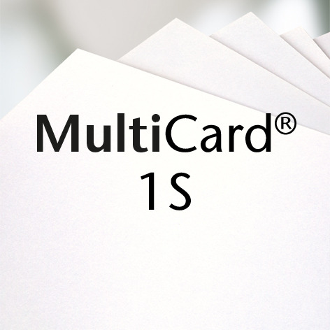MultiCard® 1S